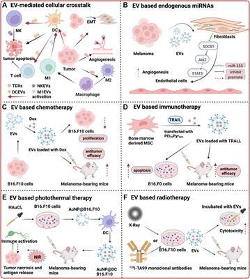 Exploiting the potential of extracellular vesicles as delivery vehicles for the treatment of melanoma